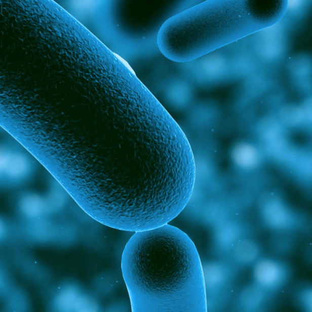 geodesic eliminacion-bacterias-1920x615